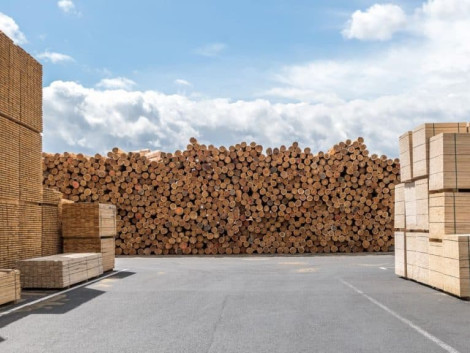 Focus on the enforcement of the new Swiss Timber Regulation