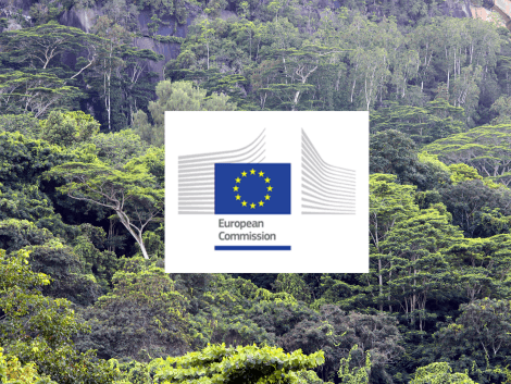 La Commission Européenne a publié son projet de réglementation pour lutter contre la déforestation importée