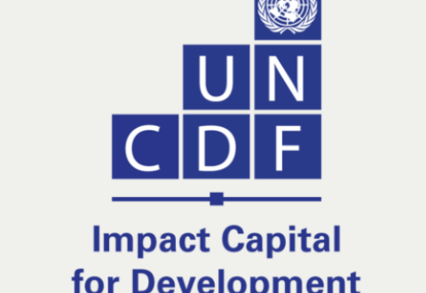UNCDF call for expressions of interest: supporting nature-positive businesses in Central Africa