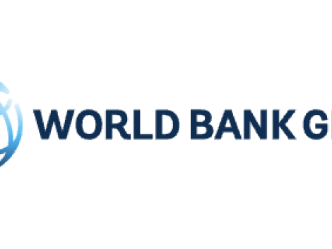 World Bank launches ambitious programme to transform Congo Basin forest economies