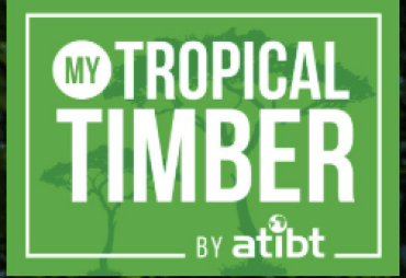 My Tropical Timber: Strong Momentum Following Its Launch