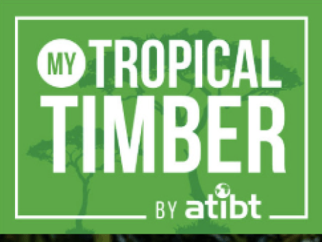 My Tropical Timber: Strong Momentum Following Its Launch