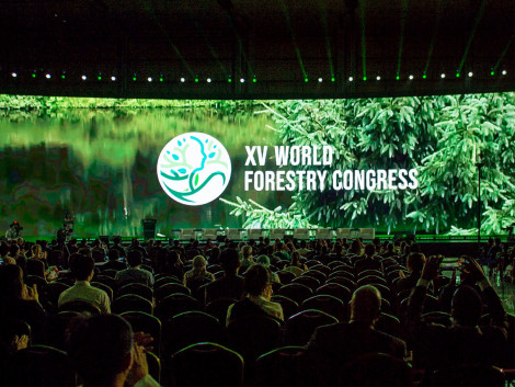 The XV World Forestry Congress was held in Seoul from May 2 to 6