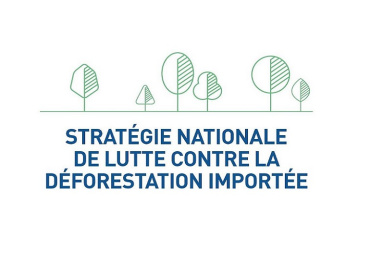 Launch of the platform for observation and fight against imported deforestation