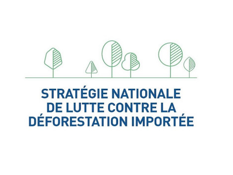 Launch of the platform for observation and fight against imported deforestation