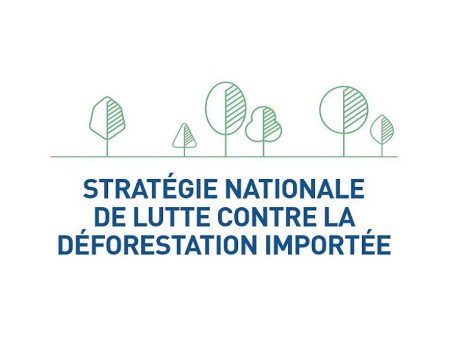 Lancement de la plateforme d'observation et de lutte contre la déforestation importée