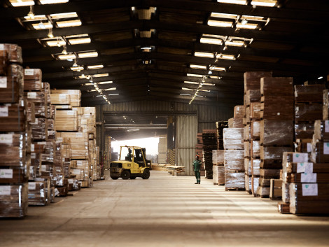Two perspectives on China’s market for African tropical timber