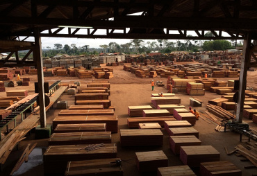 Tropical timber market - What future for the Congo Basin ?