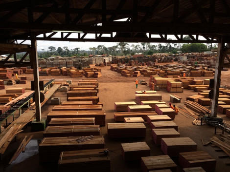 Tropical timber market - What future for the Congo Basin ?