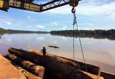 La valeur des importations de bois tropical de l'UE au plus haut depuis 10 ans 