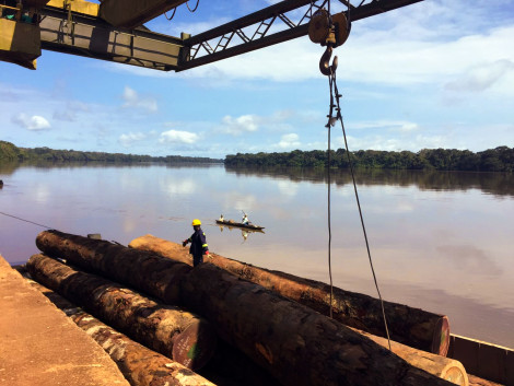 EU tropical timber imports at highest level in 10 years