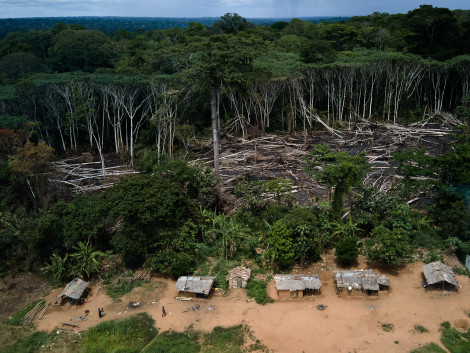 Against deforestation, let's help small producers change their practices