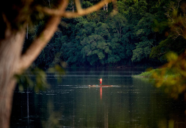 Forêts tropicales : « La reconnaissance des droits communautaires fonciers est un rempart vertueux contre la déforestation »