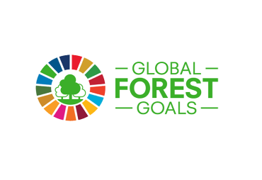 La 16ème session du forum des Nations Unies sur les forêts s’est tenue du 26 au 29 avril 2021