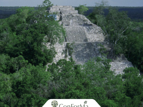 At CIB 2026: A roundtable discussion on FSC-certified community forestry supply chains in the Maya Biosphere Reserve (Guatemala)