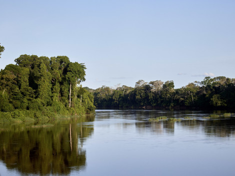 The ATIBT Carbon & Biodiversity Commission publishes its 6th newsletter