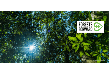 "Forests Forward", la nouvelle plateforme du WWF