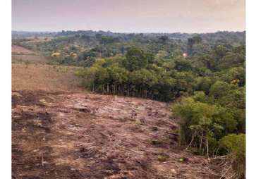 Une étude du WWF pointe la responsabilité de l’Union Européenne dans la dégradation des forêts tropicales