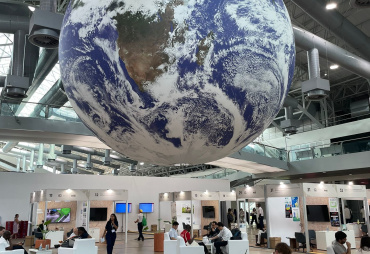 L’ATIBT à la COP30  Retour sur une semaine d’engagements forts pour les forêts tropicales (1/2)