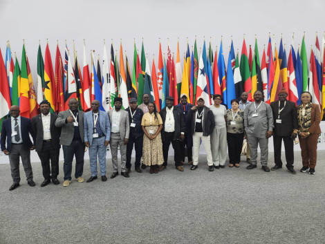 CoP20 CITES à Samarcande : l’Afrique centrale au cœur des débats sur le commerce du bois tropical