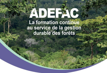 ADEFAC: Training of trainers in pedagogical engineering and adult education, Cameroon