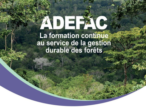 ADEFAC: Training of trainers in pedagogical engineering and adult education, Cameroon