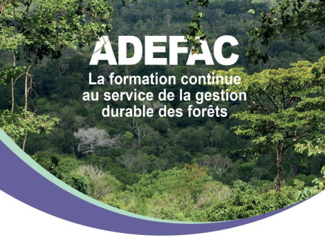 ADEFAC : Formation des formateurs en ingénierie pédagogique et pédagogie d’adultes, au Cameroun  