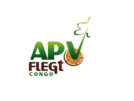 ATIBT CONGO : Un nouveau projet avec l’appui de la coopération britannique 