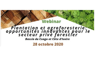 Webinaire ATIBT 28 octobre 2020 : plantation et agroforesterie, opportunités innovantes pour le secteur privé forestier – bassin du congo et côte d’ivoire
