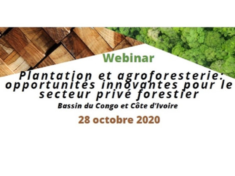 Webinaire ATIBT 28 octobre 2020 : plantation et agroforesterie, opportunités innovantes pour le secteur privé forestier – bassin du congo et côte d’ivoire
