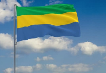 Gabon wants to adopt new standards to position itself as a world leader in certified tropical timber