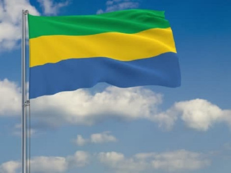Gabon wants to adopt new standards to position itself as a world leader in certified tropical timber