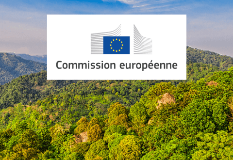 Règlement UE contre la déforestation : la filière forêt-bois rappelle l’enjeu de ce projet sur la gestion forestière durable 