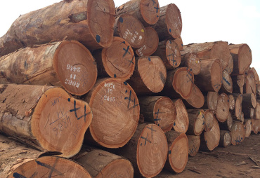 CEMAC is moving towards an export ban on logs