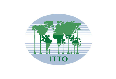 ITTO releases new guidelines for ensuring environmental and social compliance in its projects