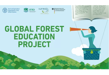 Selon la FAO, l’enseignement forestier est insuffisant dans de nombreux pays