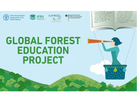 Selon la FAO, l’enseignement forestier est insuffisant dans de nombreux pays