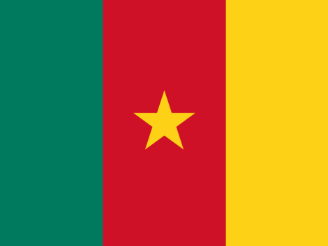 Le FSC publie la norme nationale révisée de gestion forestière du Cameroun*