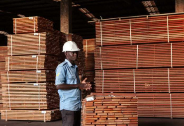 La création d'African Equatorial Hardwoods confirme les ambitions du Gabon en matière de gestion durable du bois