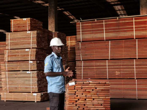 The creation of African Equatorial Hardwoods confirms Gabon's ambitions for sustainable timber management