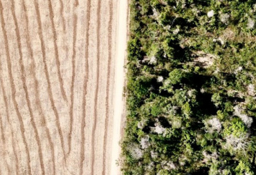 From deforestation to the restoration of degraded lands: Forland, an integrated digital solution