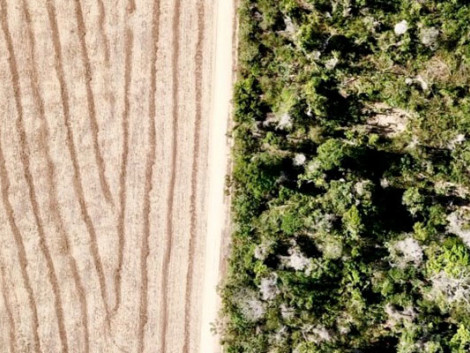 From deforestation to the restoration of degraded lands: Forland, an integrated digital solution