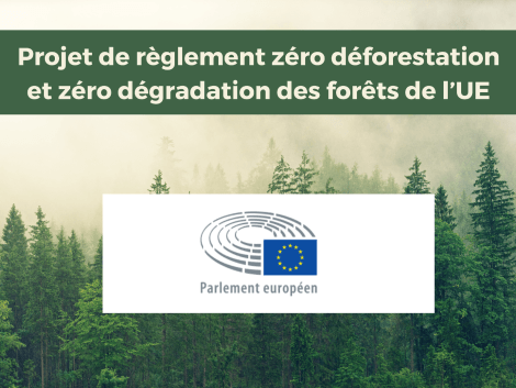 Projet de règlement zéro déforestation : éclairage sur la position du Parlement de l’UE