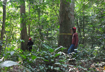 ATIBT's response to the article "Cut less and let rest: a new management of tropical forests is needed”