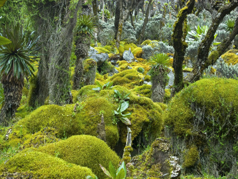 Réorienter l’économie vers la conservation de la nature