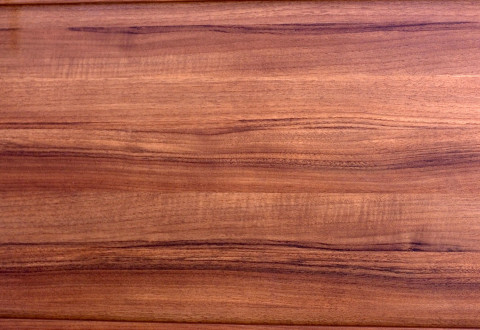 Species of certified tropical timber