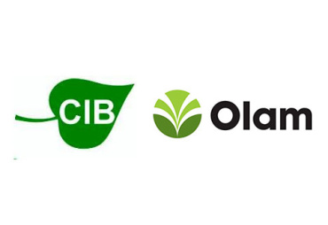 CIB OLAM