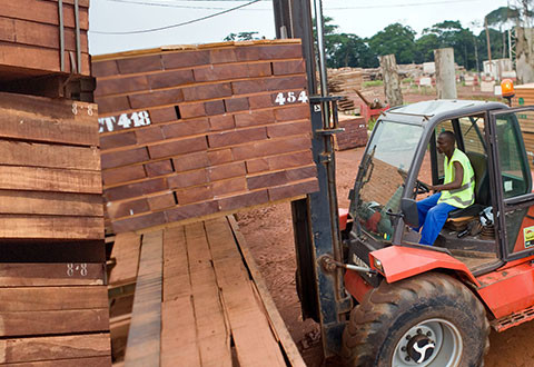 Stimulating the economies of producer countries by enhancing the value of the forest and favouring the local processing of timber