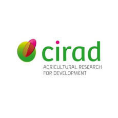 CIRAD