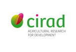 CIRAD